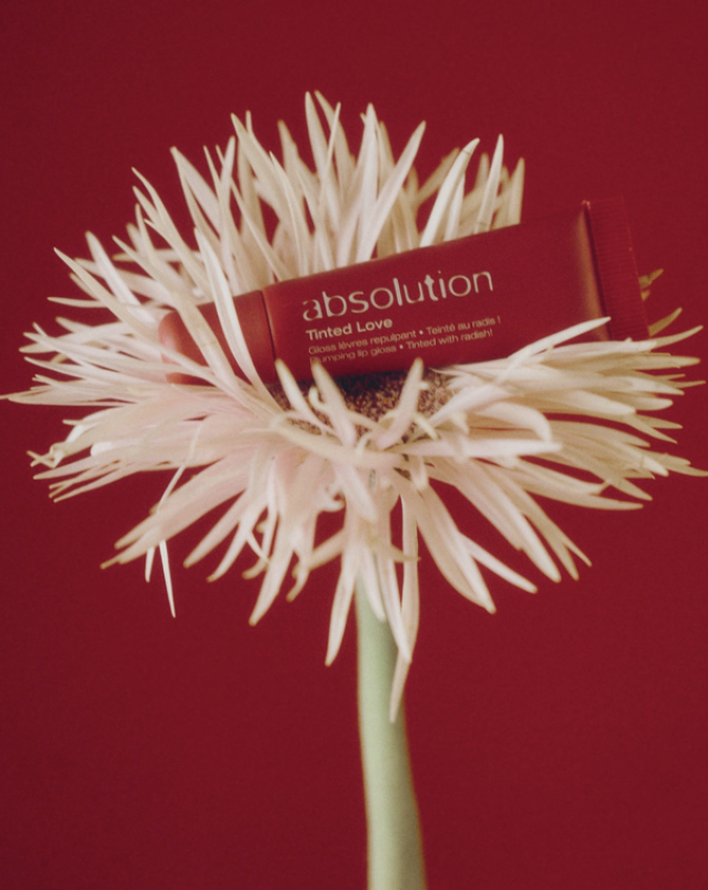 Absolution Tinted Love – Getinte, verzorgende lipgloss Hydrateert • Voedt • Beschermt - Aalter