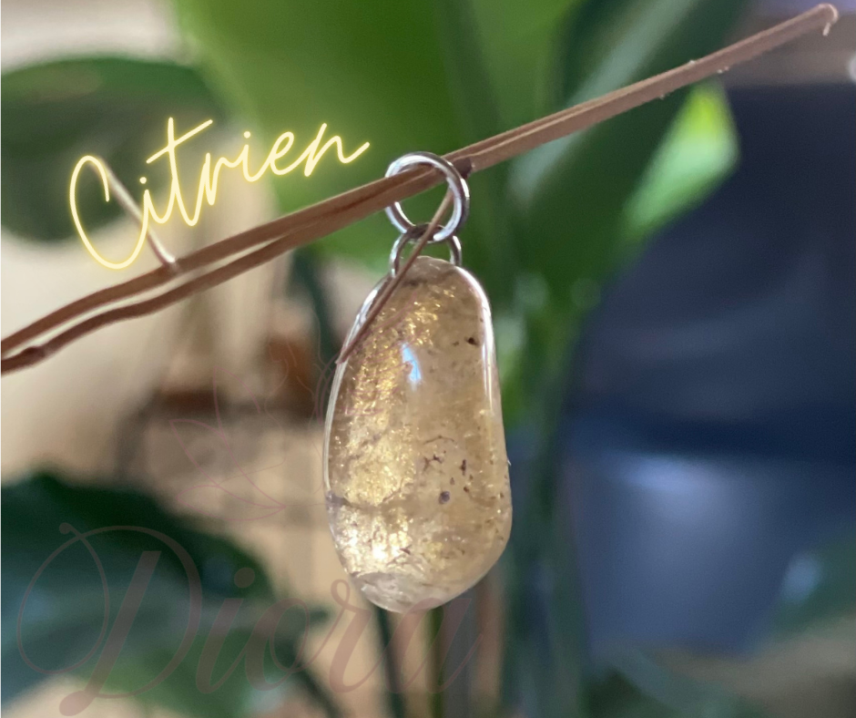 Citrien hanger - Peer